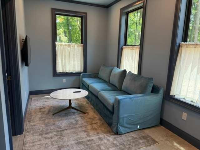Wild Indigo - Upscale 2 Bedroom Villa at Petite Acres Villa in New Buffalo