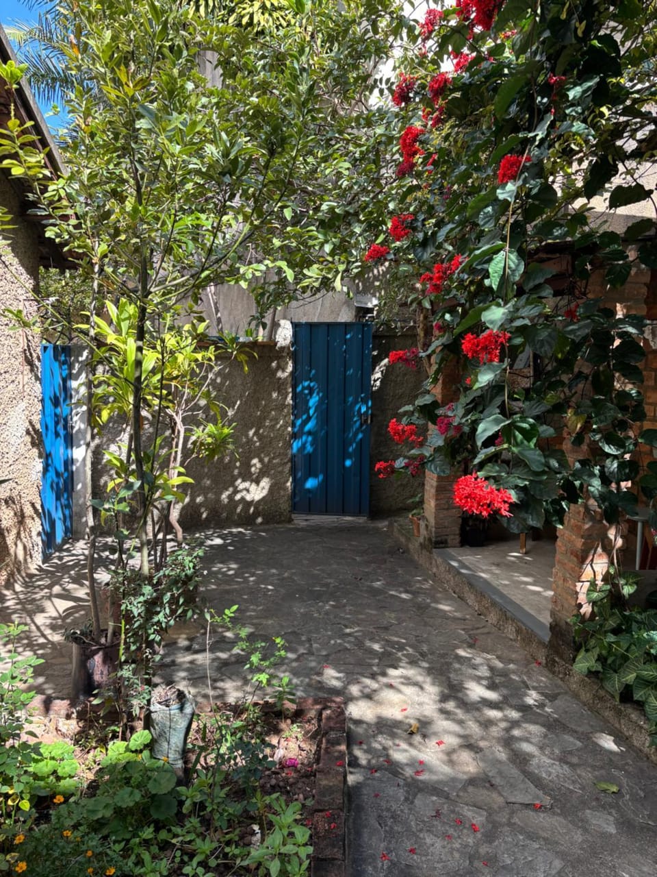 Garden, Garden, Garden view