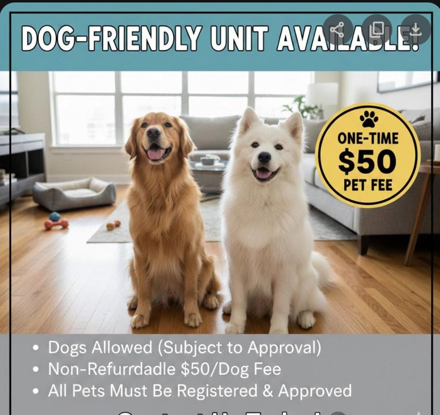 Pets, pet friendly