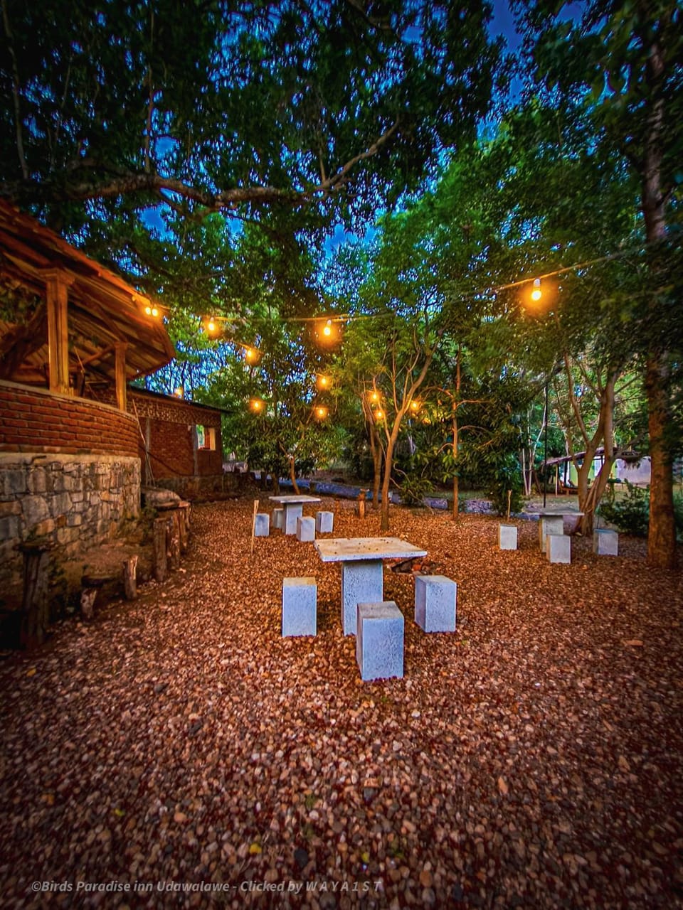 Restaurant/places to eat, Garden view