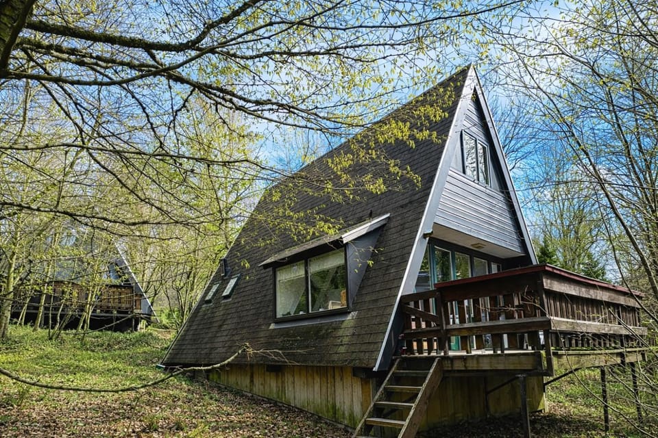 Sequoia Duo 2 chalets voisins, familles,amis,détente Chalet in Belgium