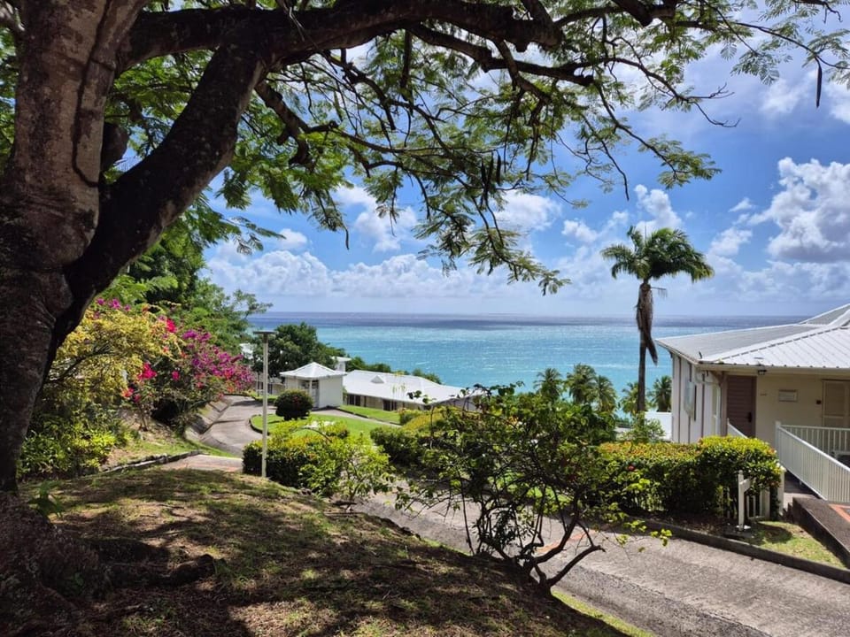 Natural landscape, Garden view, Sea view