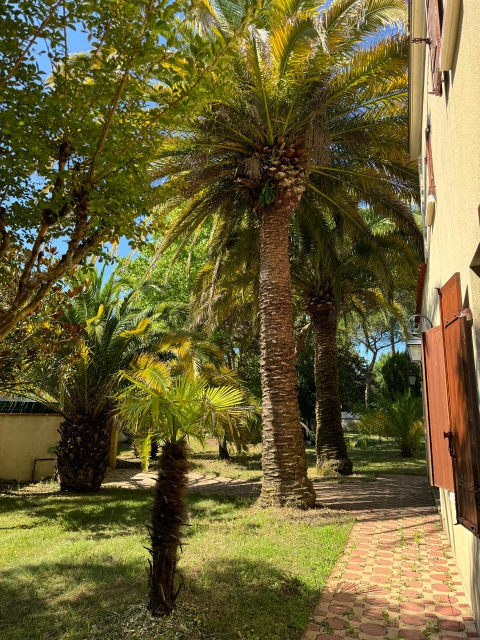 Villa avec piscine intérieur chauffée et parc privé au bord de mer à 3 minutes Villa in Nouvelle-Aquitaine
