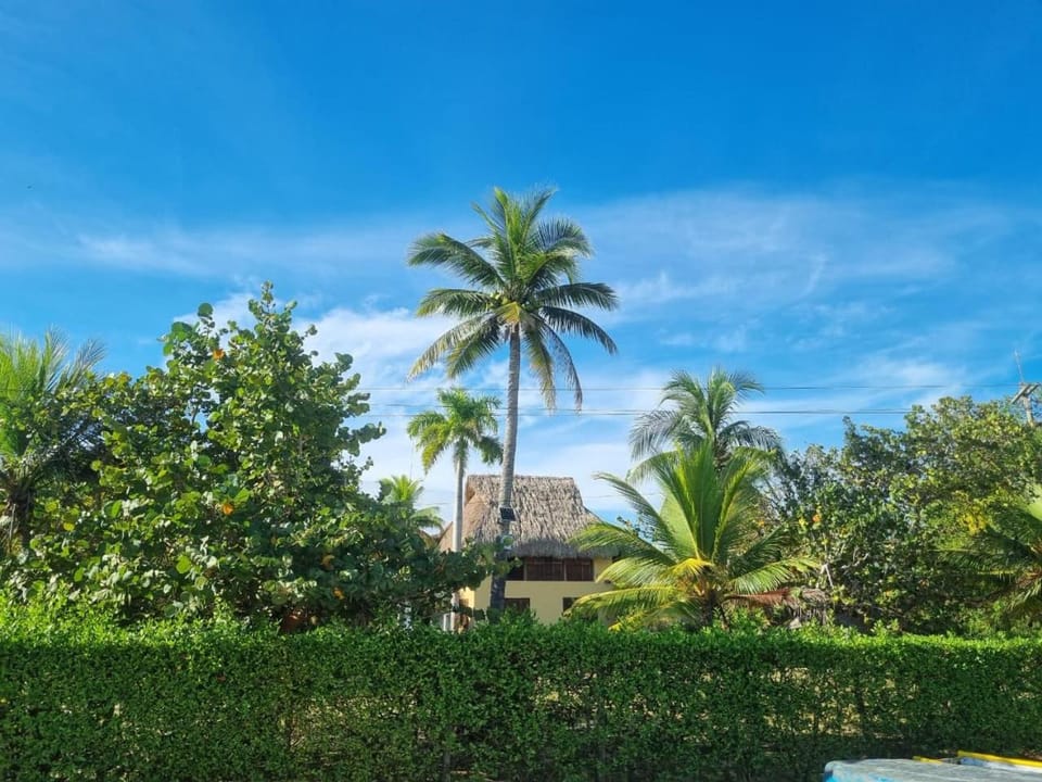 Off site, Garden