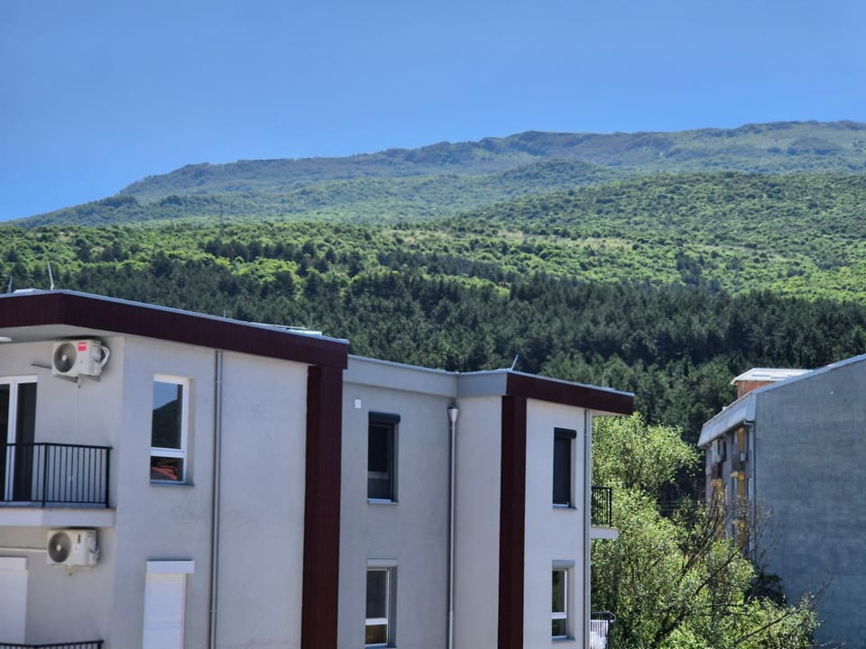 Rusev Apartment Apartment in Ohrid