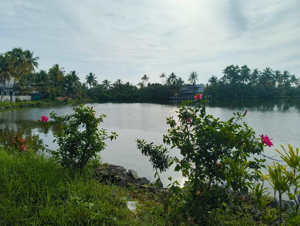 Lake view