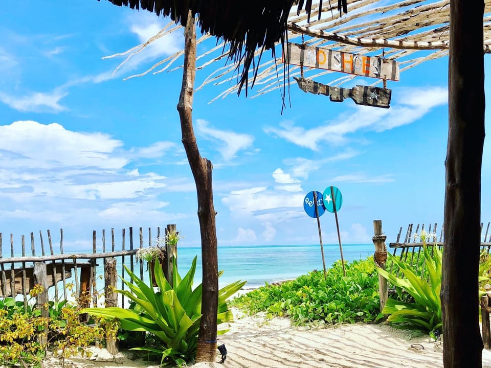 Restaurant/places to eat, Lounge or bar, Beach, Sea view, Lunch, Alcoholic drinks, Non alcoholic drinks