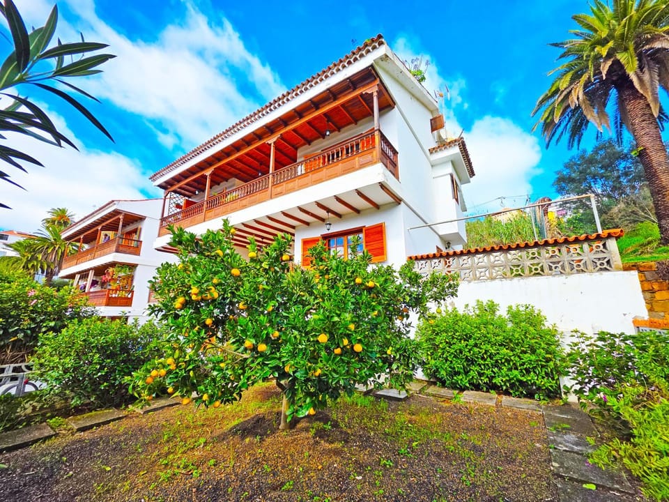 Property building, Garden, Garden view