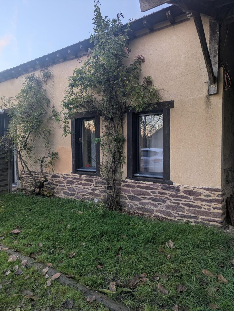 Property building, Garden view