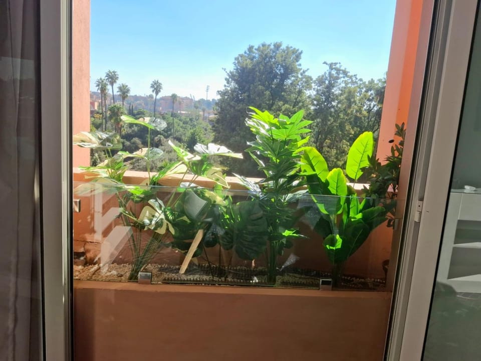 Garden view