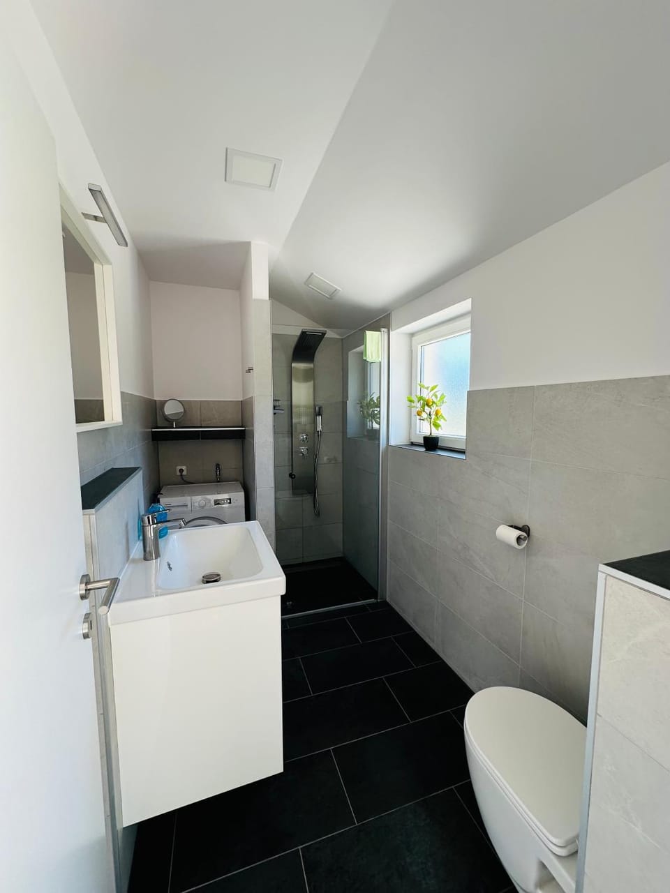 Toilet, Bathroom, washing machine