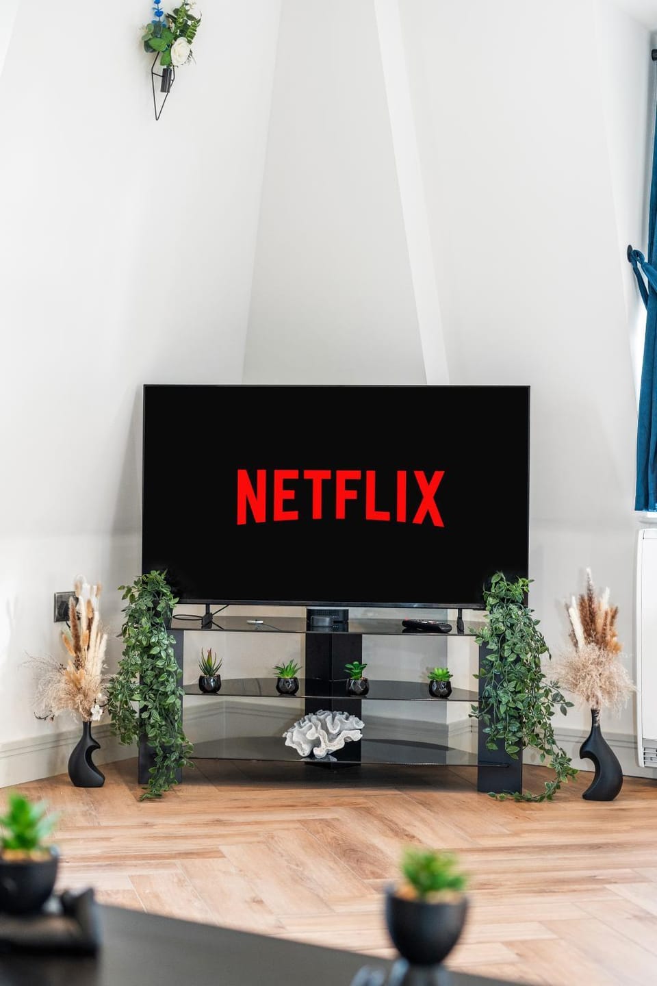 TV and multimedia