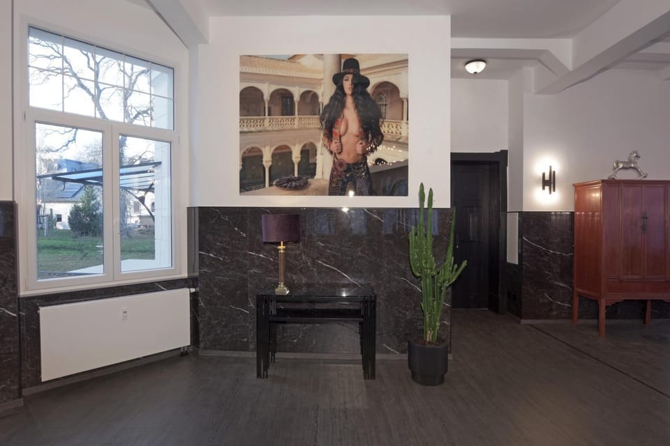 White House Meerane - Loft Garden Apartment in Saxony