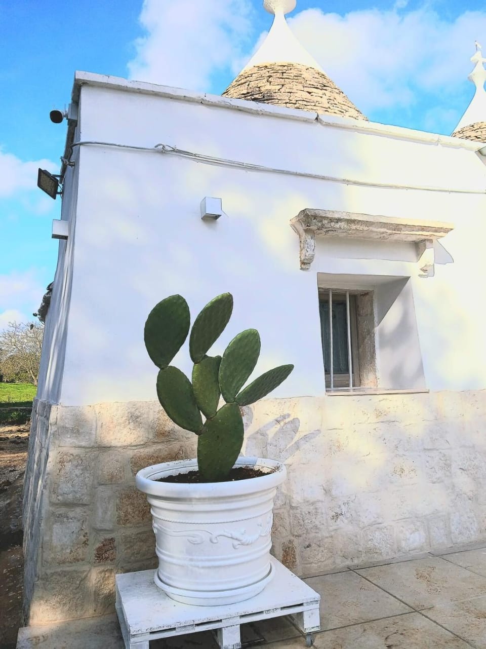 Trulli Donna Grazia House in Province of Taranto