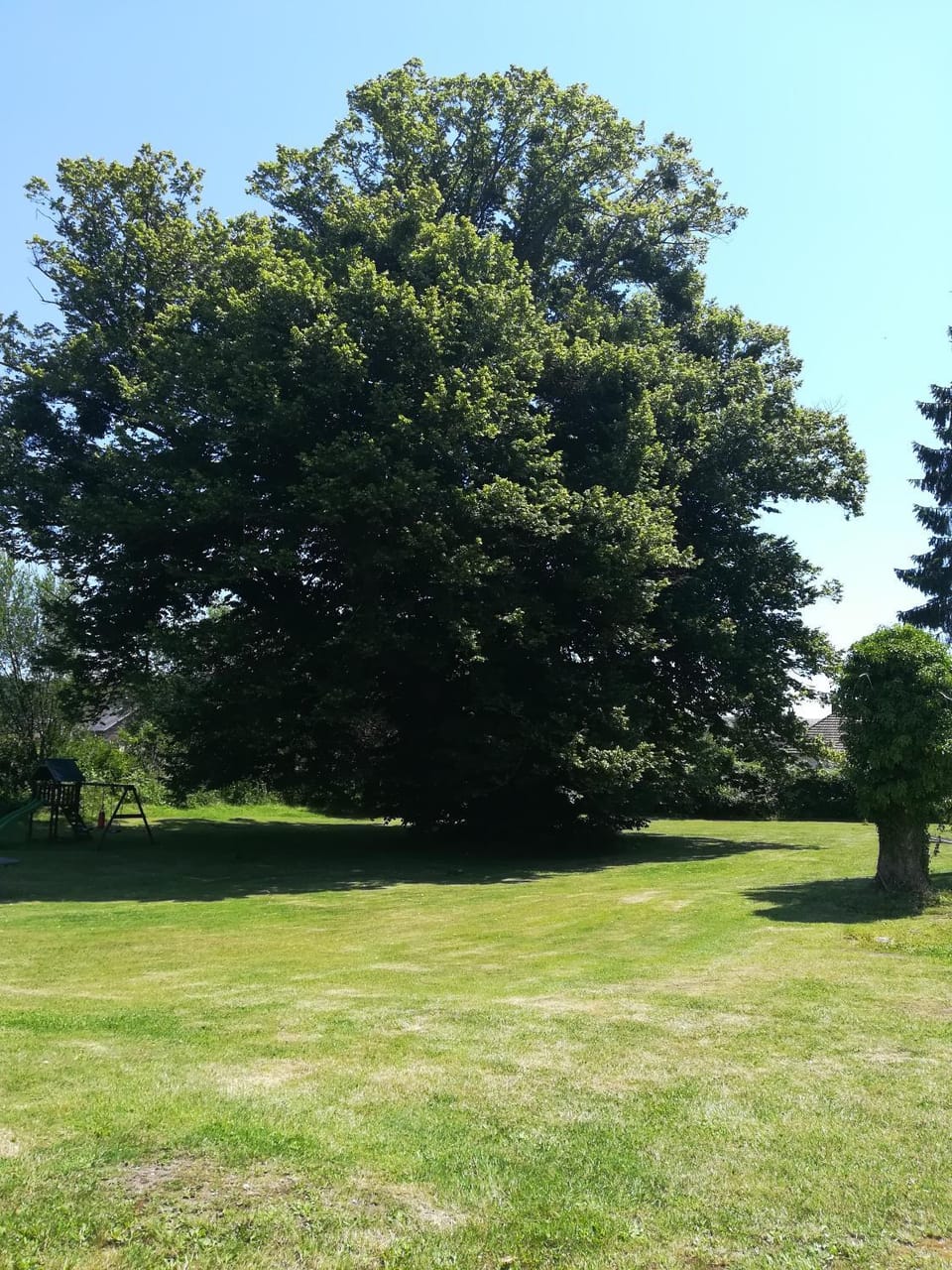Garden, Garden view