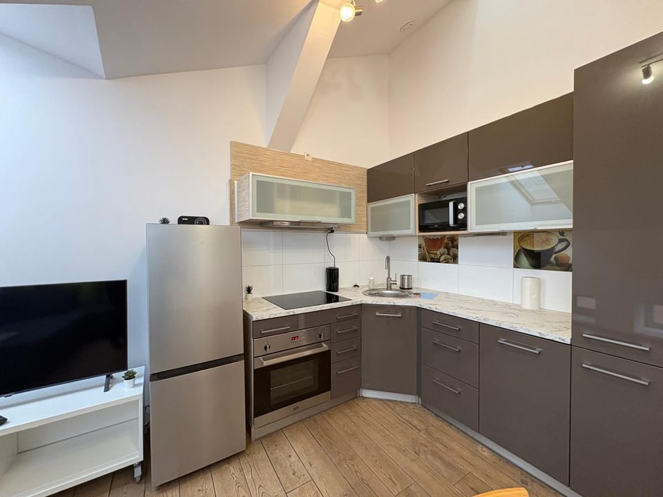 Apartment next to Wawel Castle and the Vistula River, air conditioning Apartment in Krakow
