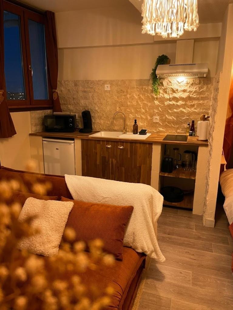 Kitchen or kitchenette, minibar, stove, kitchen