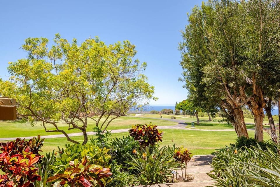 Golfcourse, Golfcourse