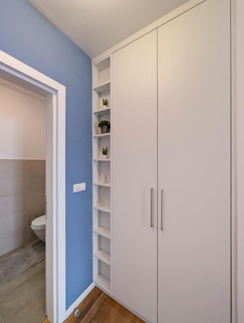 Toilet, Bathroom, Photo of the whole room, wardrobe