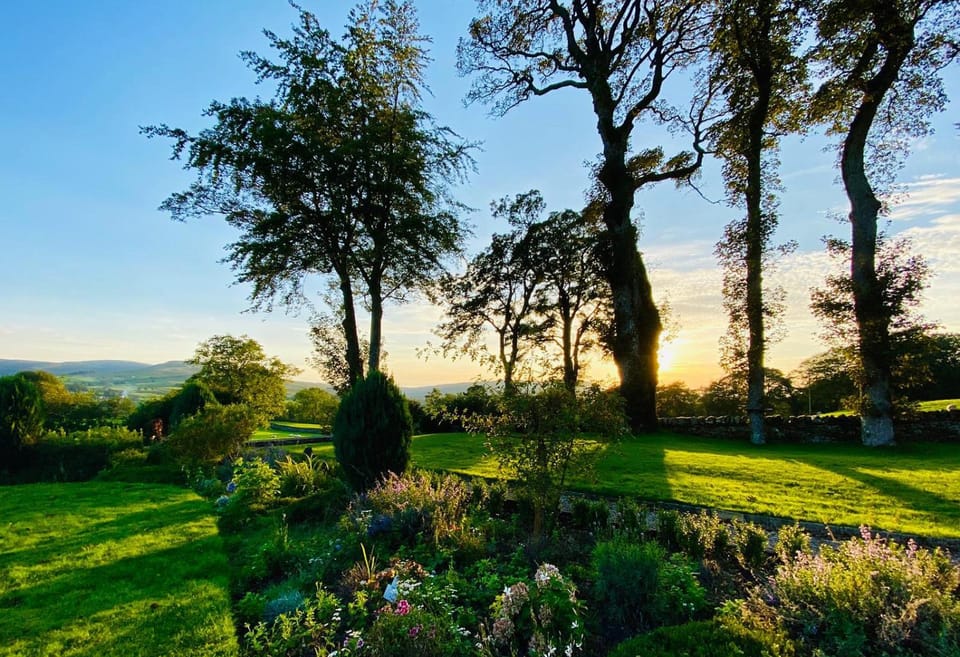 Natural landscape, Garden, Garden view