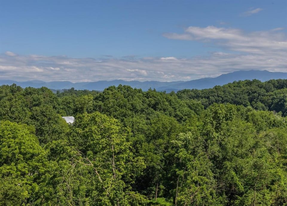 Soaky Bear Hideaway By Echo Peak Vacations House in Sevierville