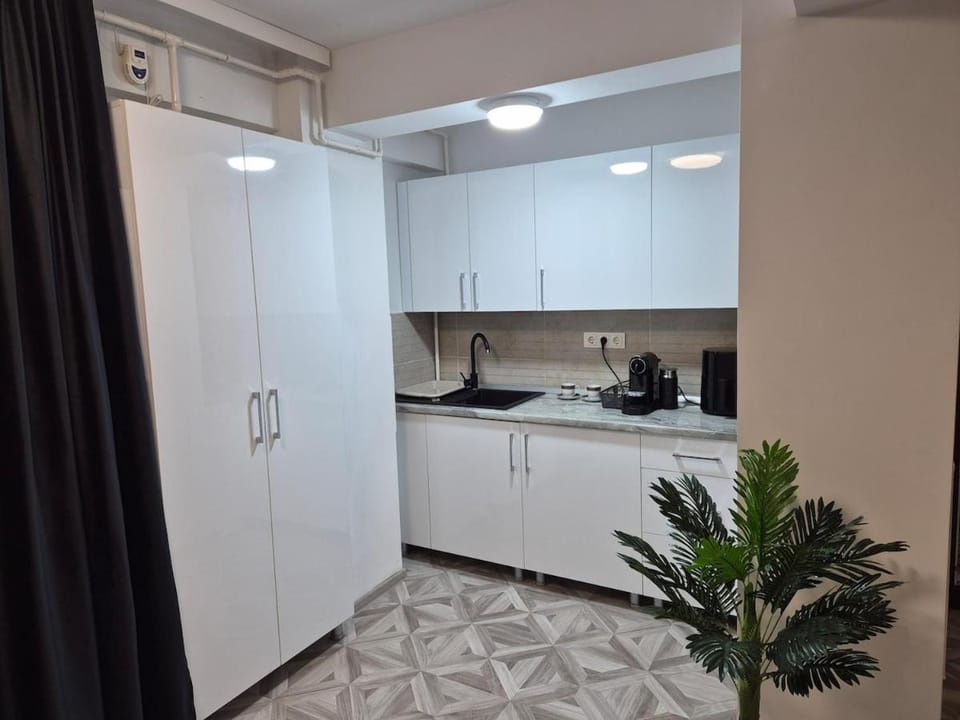 studiou central Apartment in Romania