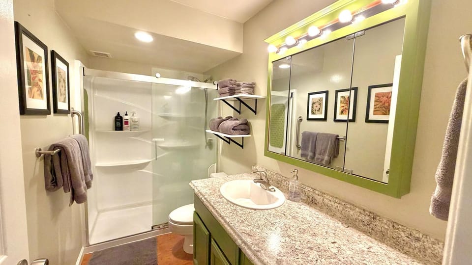 Shower, Toilet, Bathroom, hair dryier, towels