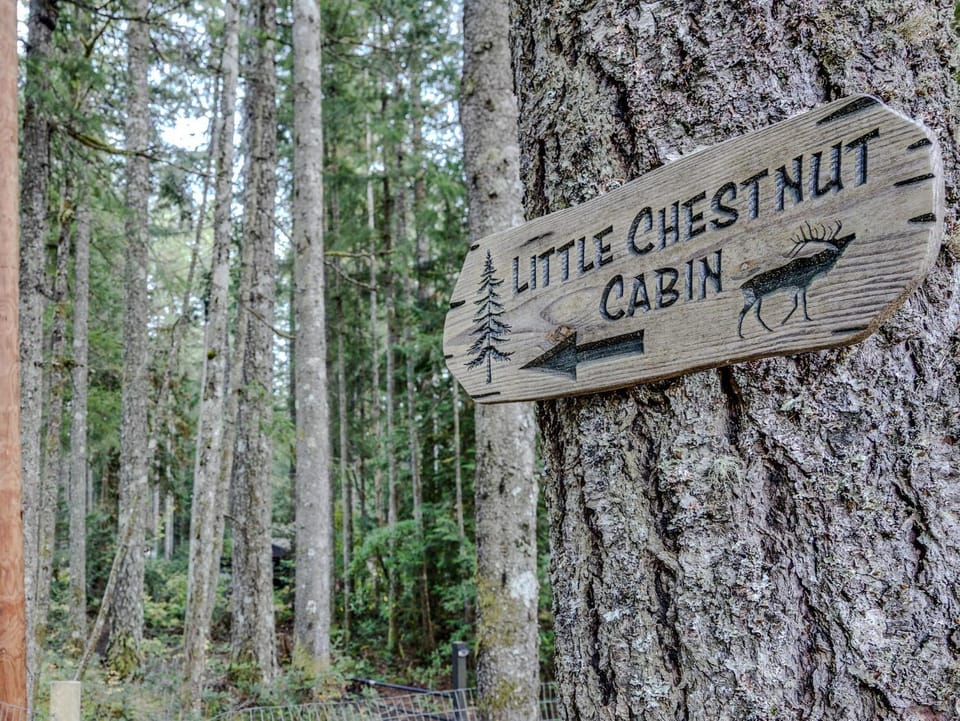 Little Chestnut Cabin Cabin in Welches