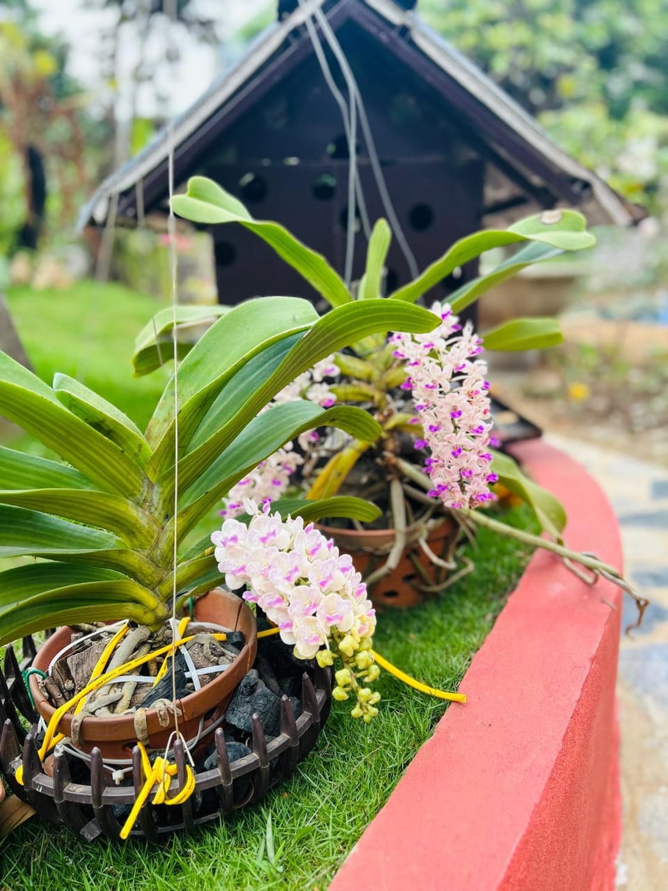 Tràng An Ước Nguyện Homestay Apartment in Vietnam