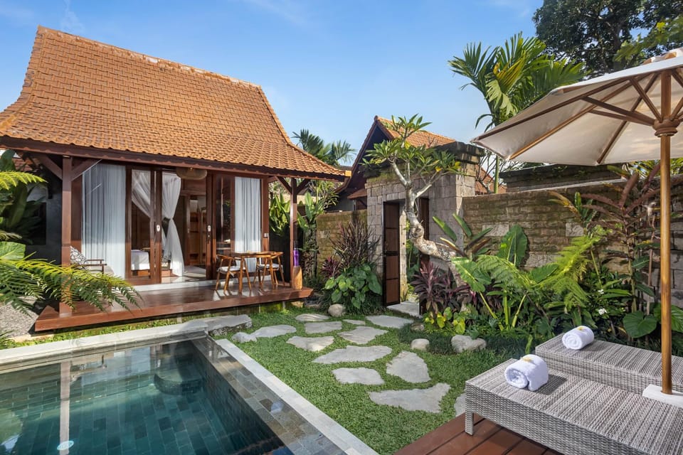 Property building, Patio, Day, Garden, Garden view, Pool view, Swimming pool, sunbed