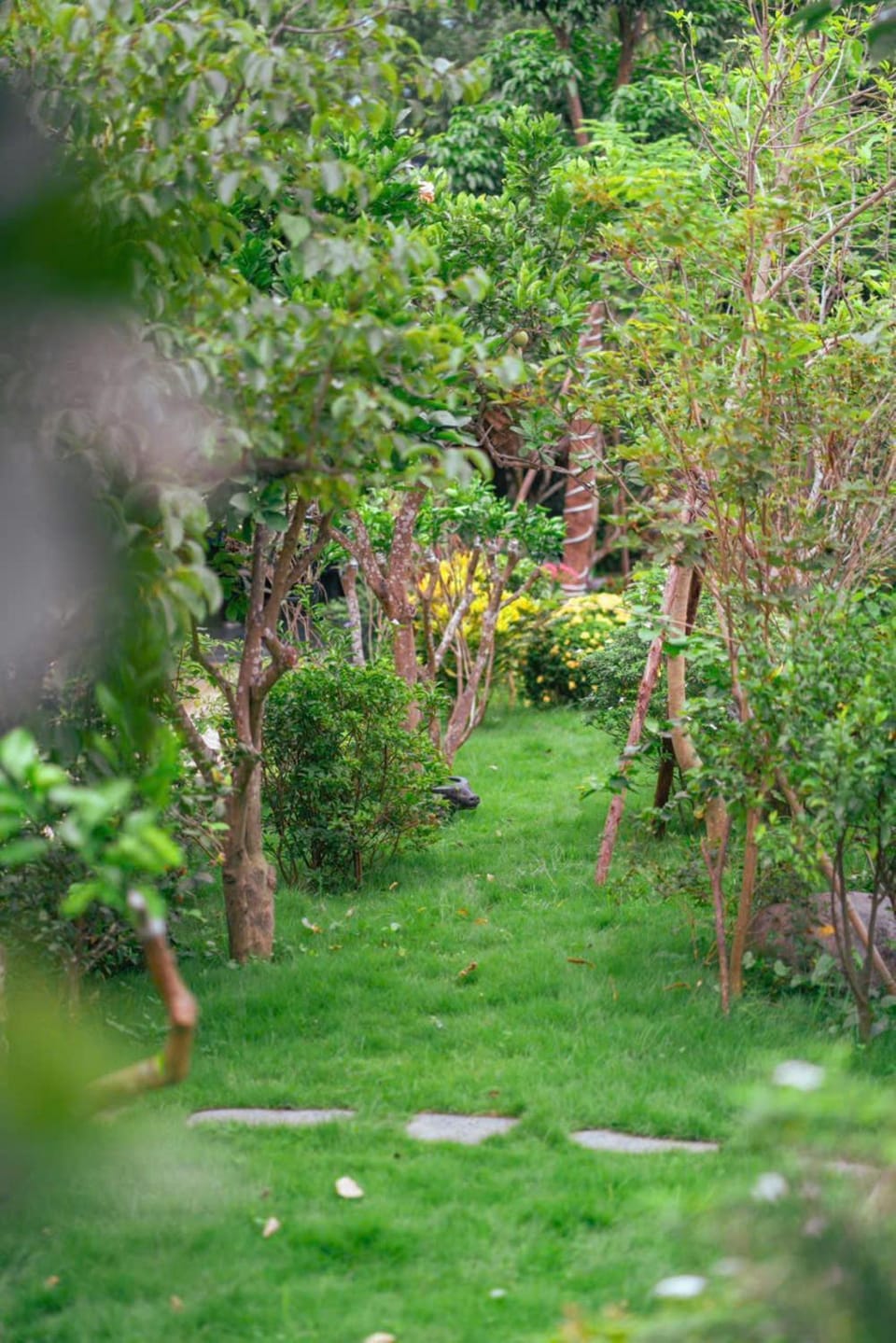 Natural landscape, Garden