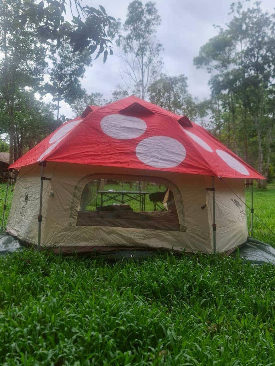 Property building, Natural landscape