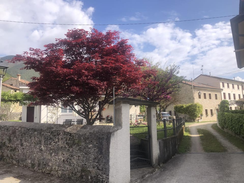 Property building, Natural landscape