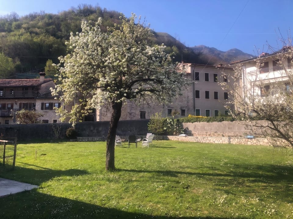 Property building, Garden, Garden view