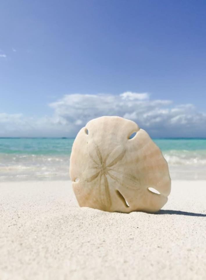Day, Natural landscape, Beach, Sea view
