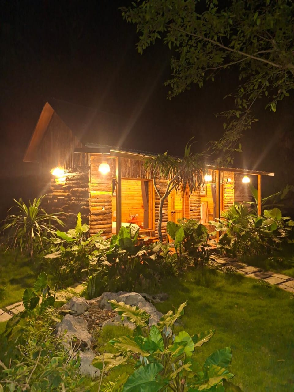 Property building, Night, Garden, Garden view