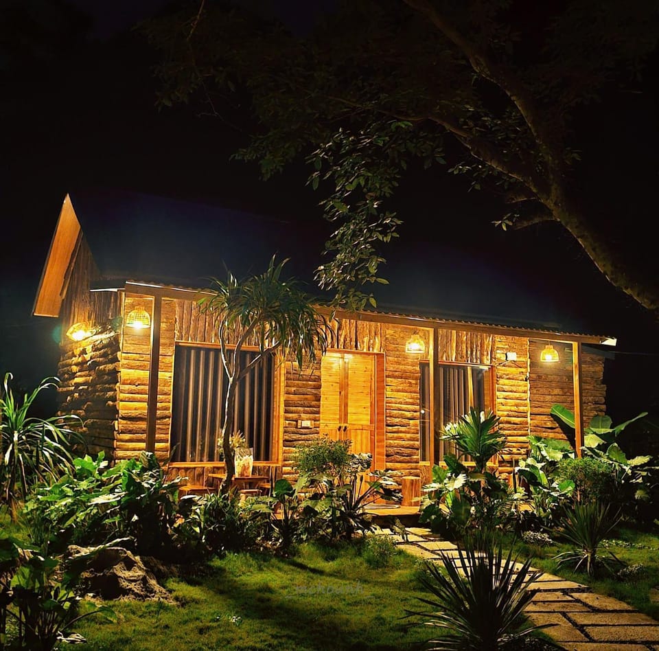 Property building, Night, Garden, Garden view