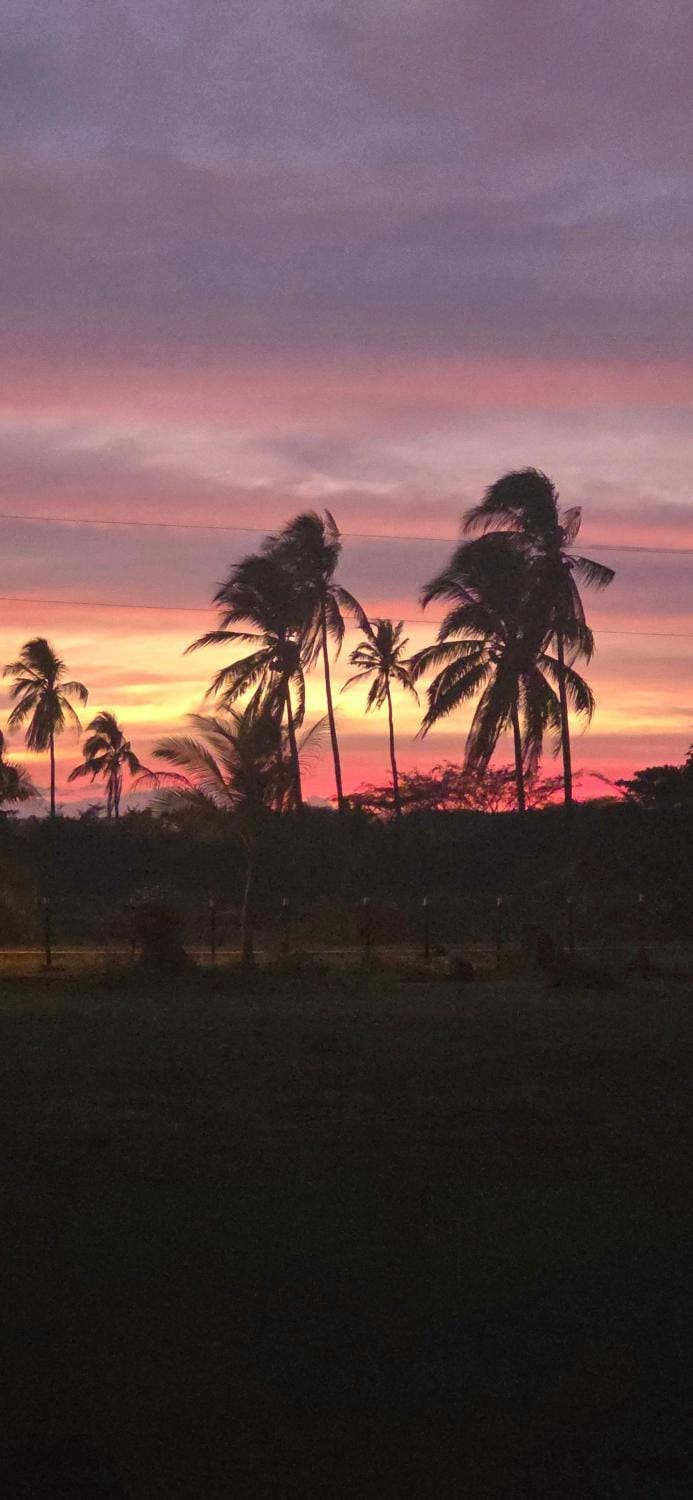 Summer, Sunset