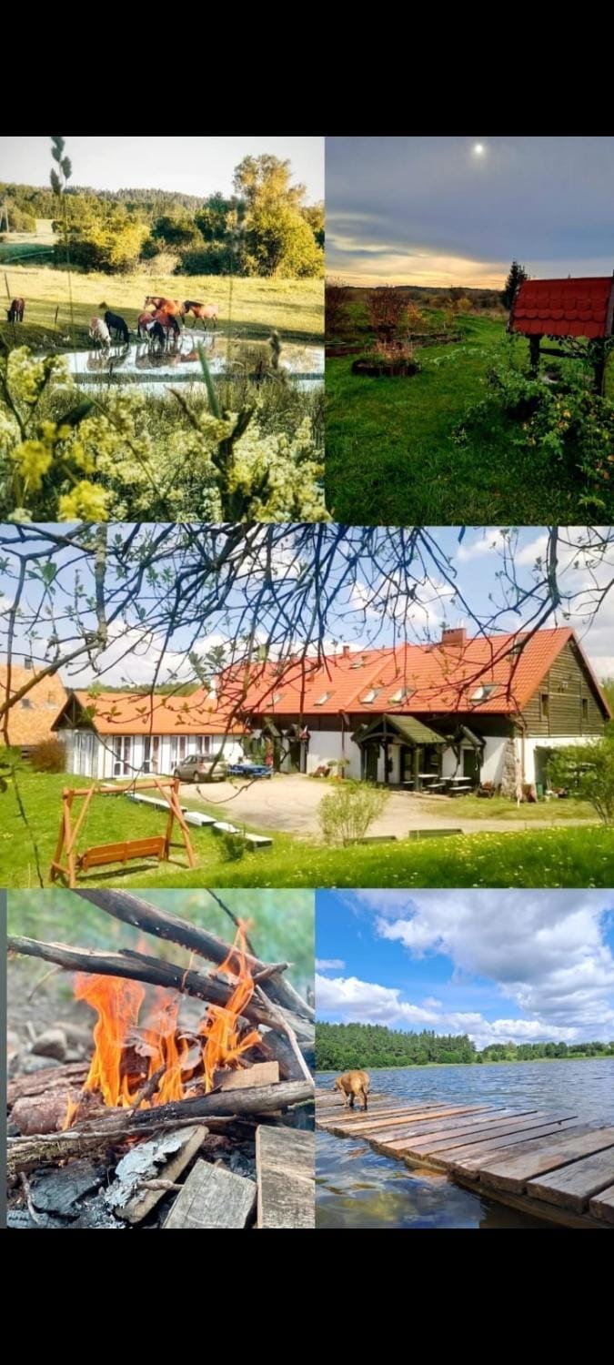 Property building, Animals