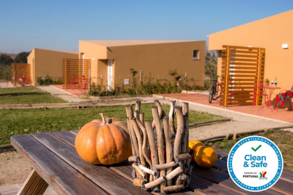 Day, Garden, Garden view