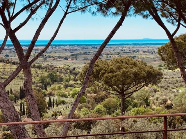 Podere Il Castellaccio Farm Stay in Tuscany
