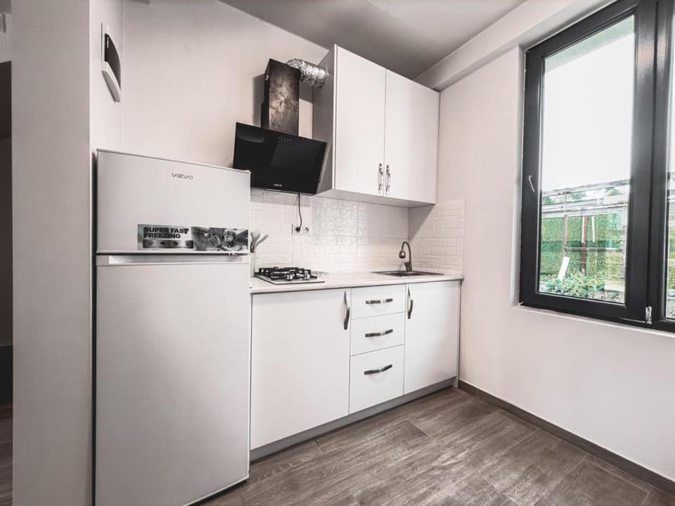 Villas David Apartment in Georgia