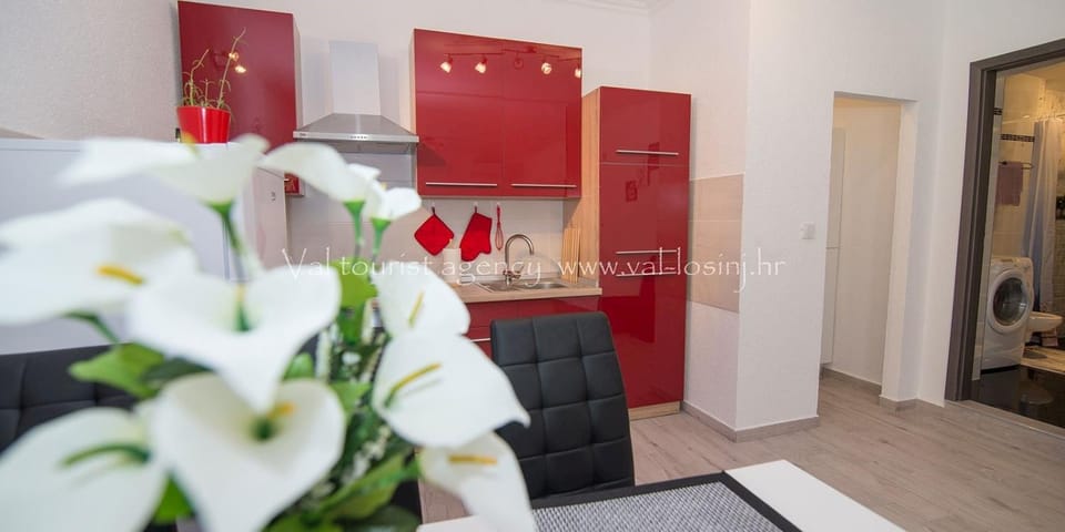 Barbi A2+2 Apartment in Primorje-Gorski Kotar County