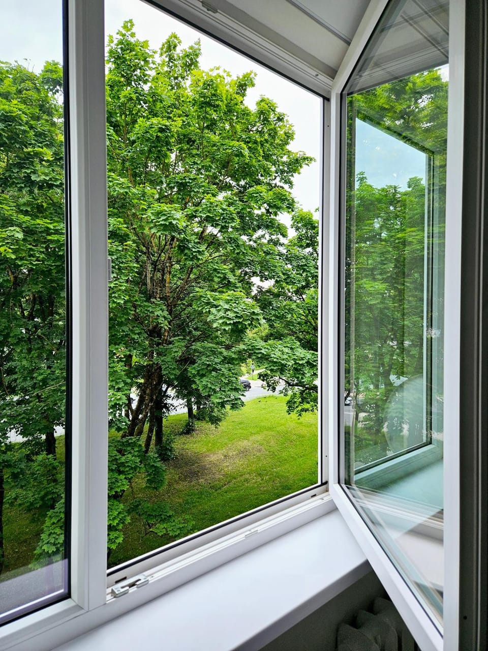 Day, Natural landscape, Garden, View (from property/room), Garden view