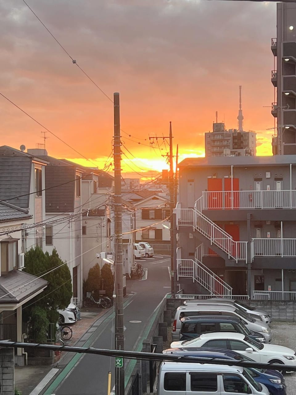 Day, Neighbourhood