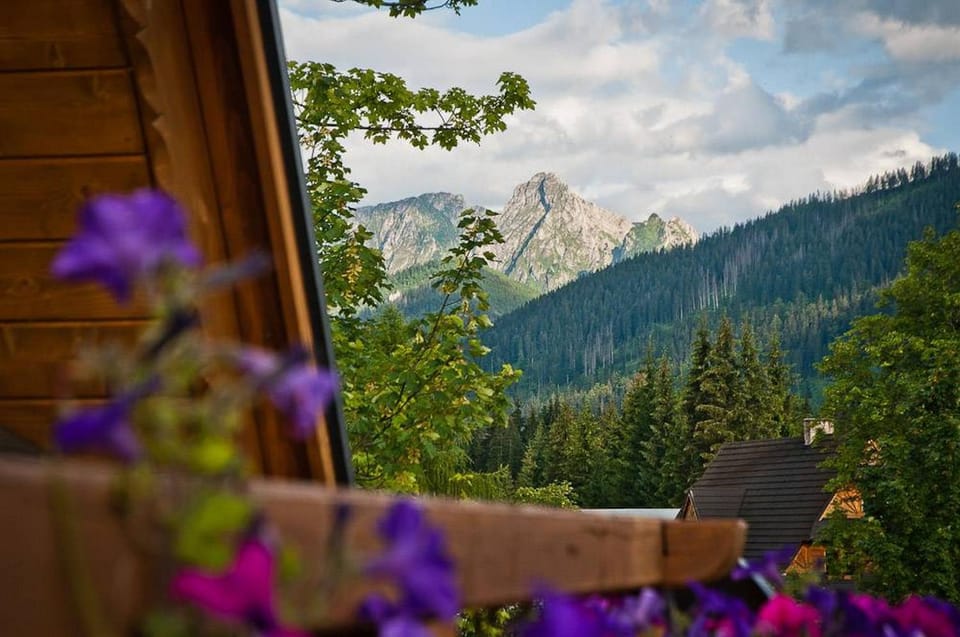Mountain view