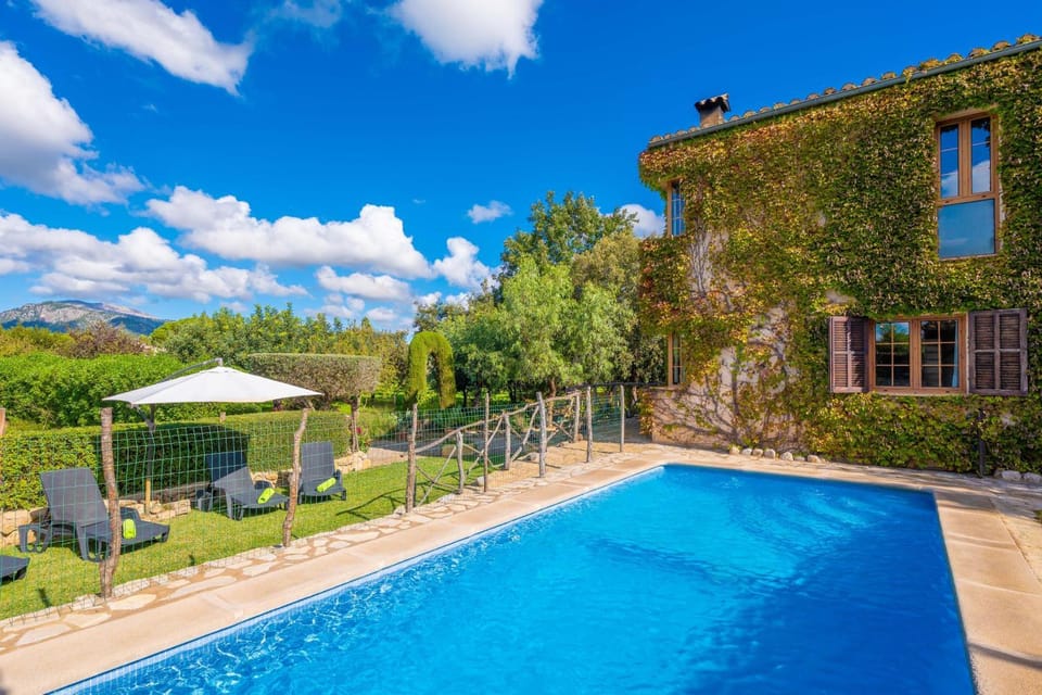 Garden, Swimming pool