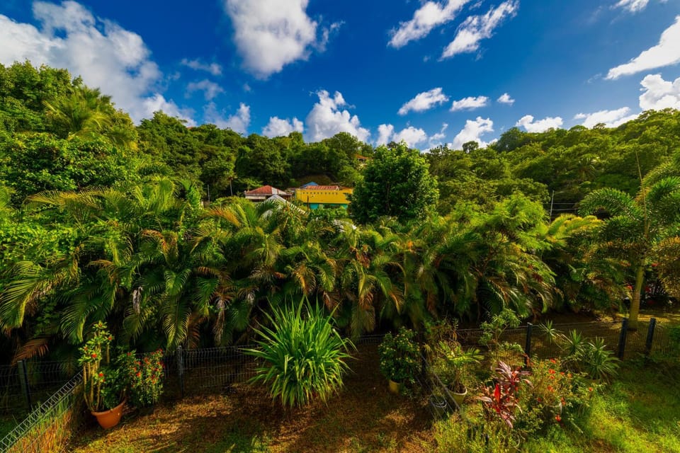 View (from property/room), Garden view