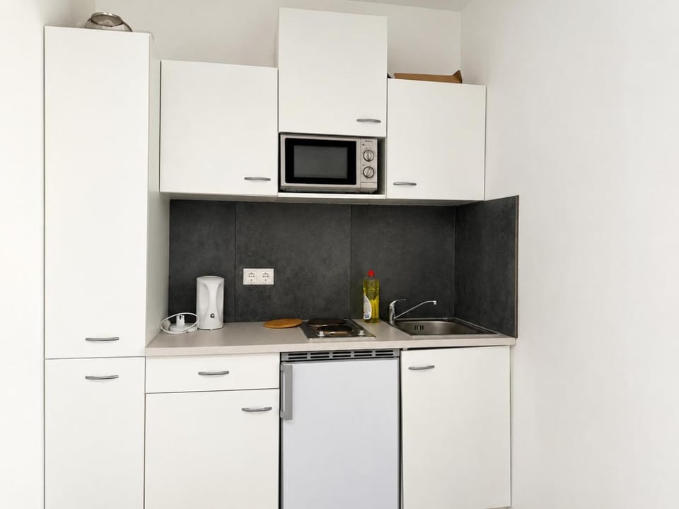 Kitchen or kitchenette, dishwasher, minibar, stove