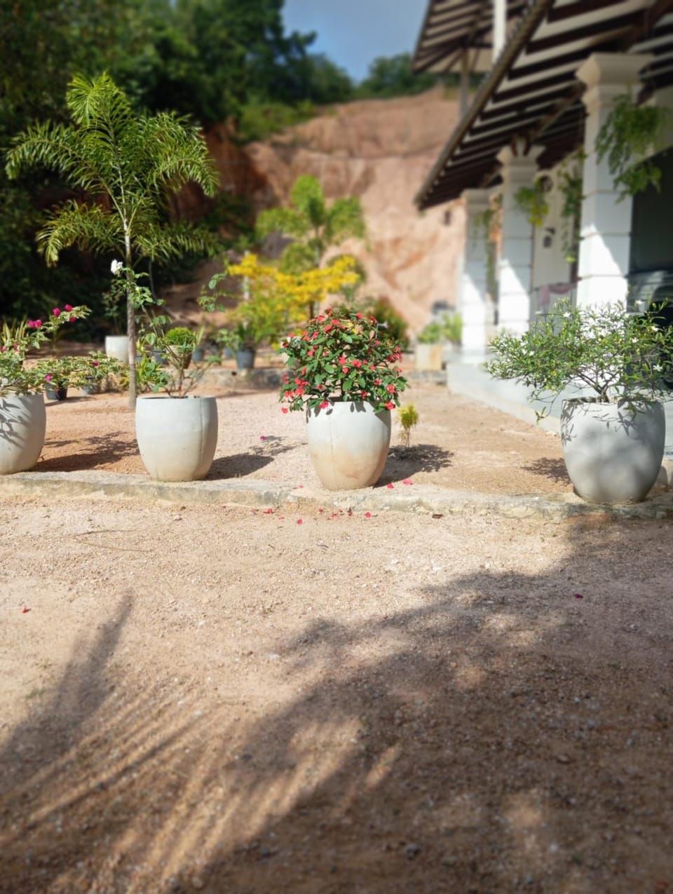 Villa Oriana Villa in Southern Province